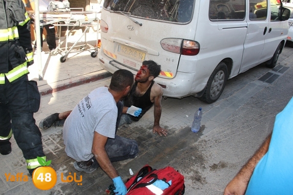 mabna inu910y (19).JPG